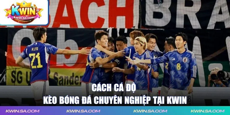 Cách cá độ kèo bóng đá chuyên nghiệp tại KWIN